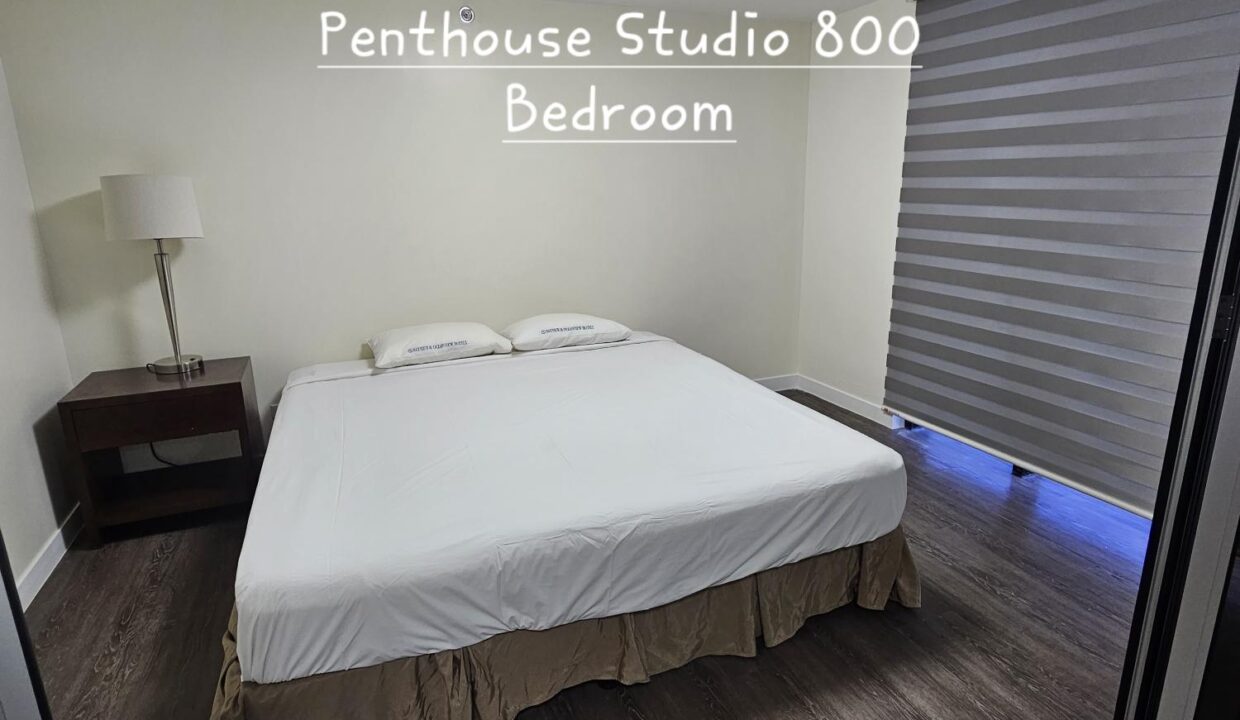 OV Studio Pent PHS Bedroom