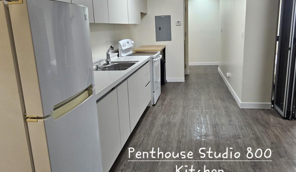 OV Studio Pent PHS Kitchen