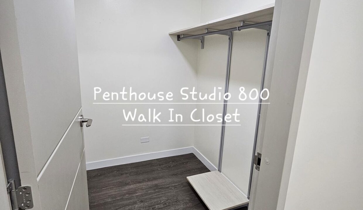 OV Studio Pent PHS Walk In Closet